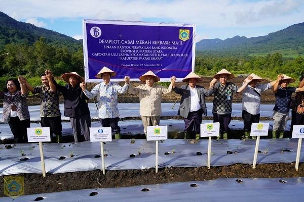 Pakpak Bharat Tekan Laju Inflasi dengan Program Menanam Cabai
