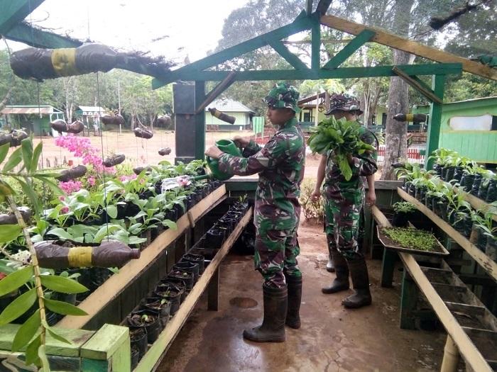 Prajurit TNI Jaga Perbatasan RI-PNG, Sembari Bekerja, Manfaatkan Lahan Kosong Jadi Kebun Sayur
