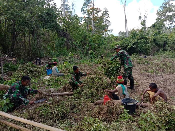 Satgas Yonif RK 136/TS Ajarkan Penduduk Suku Mausu Ane Olah Lahan Kosong