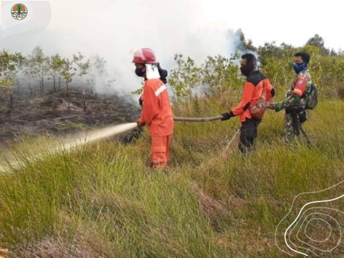 Titik Panas Menurun Drastis, Menteri LHK: Kolaborasi Bersama Berhasil Cegah Kebakaran Hutan dan Lahan