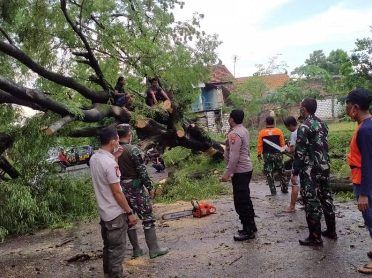 Pohon Tumbang, Anggota Koramil Kembangbahu Turun Tangan