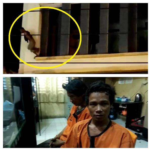 Aksi Maling Lompat Ruko Bak Spiderman Ditangkap Massa di Medan Perjuangan