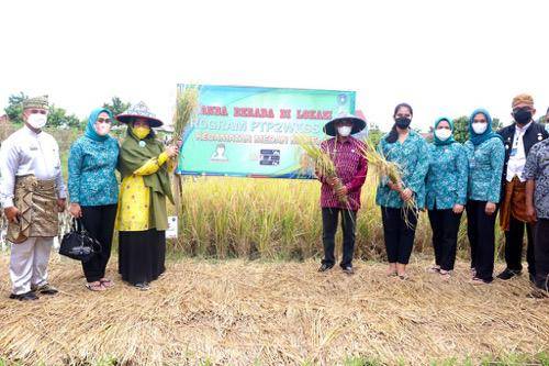 Kahiyang Ayu Harapkan Kelurahan Paya Pasir Juara PTP2WKSS Tingkat Sumut