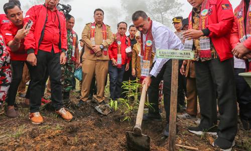 Bersama Pemuda Batak, Musa Rajekshah Tanam 10 Ribu Pohon di Togaraja Samosir