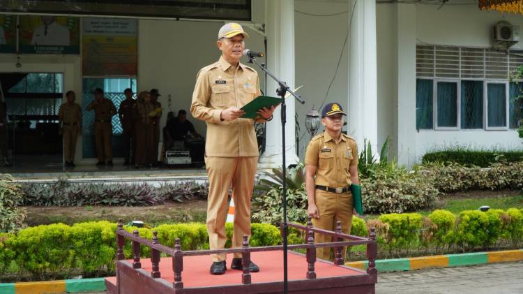 Pemkab Langkat Terus Berupaya Kembangkan Sektor UMKM Agar Naik Kelas