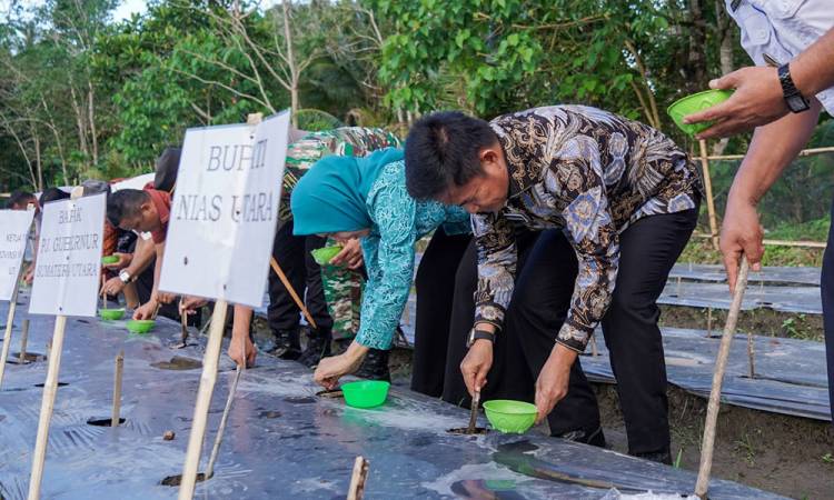 Dukung Gertanimas, Pj Gubernur Sumut Tanam Jagung di SMKN 2 Tuhemberua
