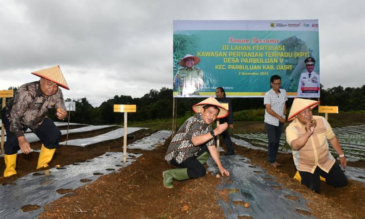 Tinjau Langsung Kawasan Pertanian Terpadu Dairi, Pj Gubernur Sumut Dorong Pengembangannya Hingga Jadi Penyokong Pangan Sumut