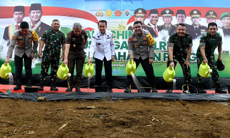 Wujudkan Kemandirian Pangan di Sumut, Pj Gubernur Minta Optimalkan Pemanfaatan Lahan Kosong