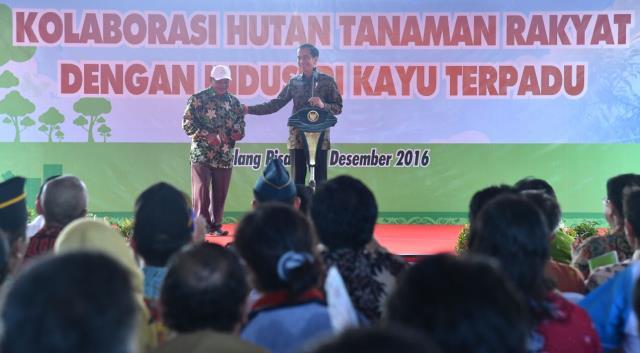 Presiden Jokowi Realisasikan Hutan Tanaman Rakyat