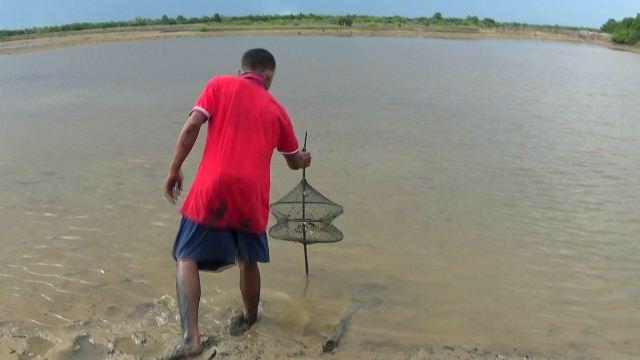  Ratusan Hektar Tambak Ikan dan Udang di Langkat Rusak Akibat Survey Seismik