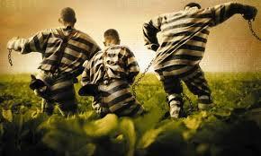 12 Tahanan Kabur, Kapoldasu Yakini Sel di Polsek Percut Seituan Overload