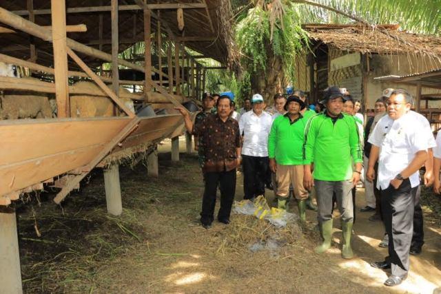 Wujudkan Smart City, Walikota Binjai Ajak Masyarakat Ubah Pola Pikir