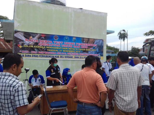 130 Sopir Dites Urin, Sopir Bus Pinem Positif Pakai Ganja