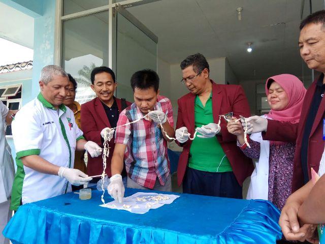 Wah, Cacing Pita Sepanjang 10,5 M yang Ditemukan di Simalungun Hampir Dipastikan Spesis Baru