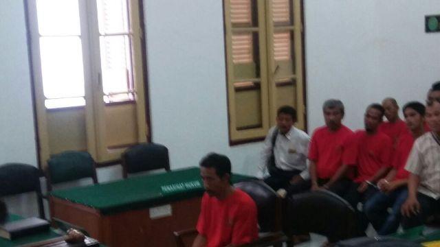 Jaksa Tuntut Penjual Kulit dan Organ Tubuh Harimau Sumatera Tiga Tahun Penjara