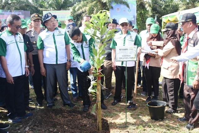 Gubsu: Menanam Pohon Upaya Mencegah Banjir dan Longsor