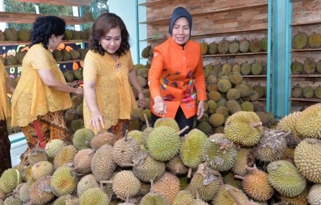 Wagubsu: Durian Sumut Bepotensi Jadi Produk Andalan Daerah