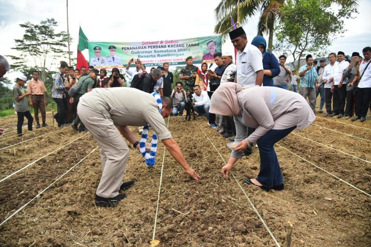 Kunjungi SMKN 1 Lembah Sorik Marapi, Gubernur Sumut Tanam Perdana Kacang Tanah
