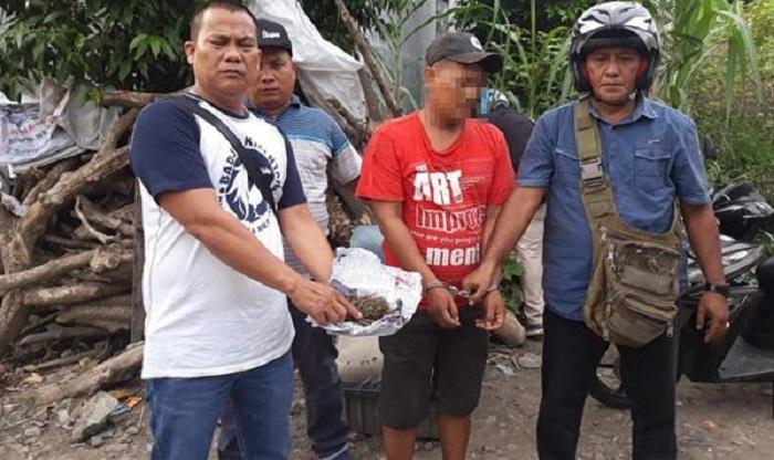 Bawa Ganja, Pria Ini Ditangkap Tim Pegasus Polsek Medan Barat