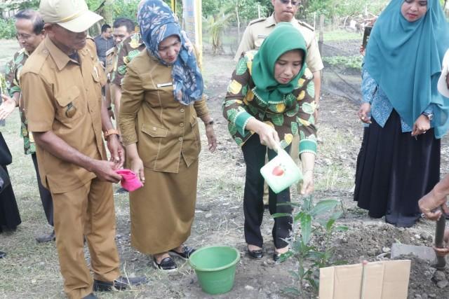 Gerakan Tebar Tanam dan Pelihara TP PKK Kota Medan Sambangi Kelurahan Tangkahan