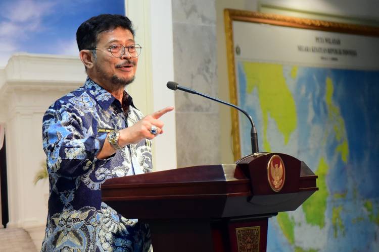 Pemerintah Pastikan Stok Bahan Pokok untuk Natal dan Tahun Baru Aman Terkendali