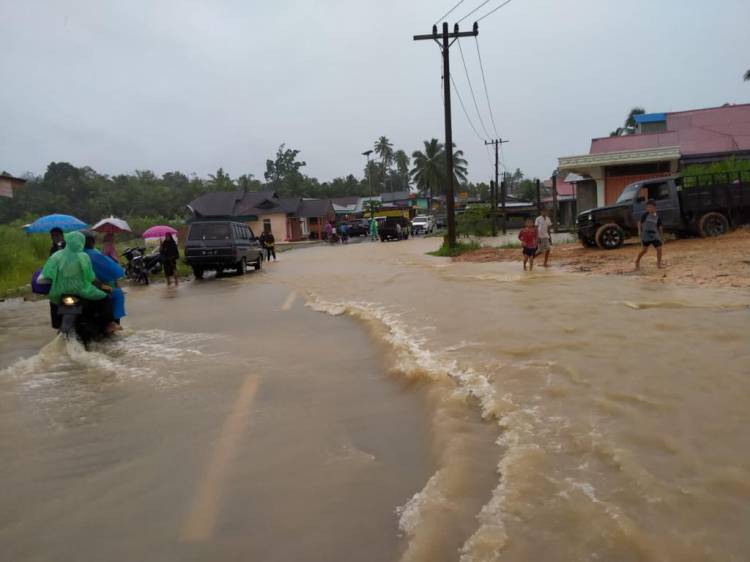Banjir Pasaman Barat, Sebanyak 247 KK Terdampak 
