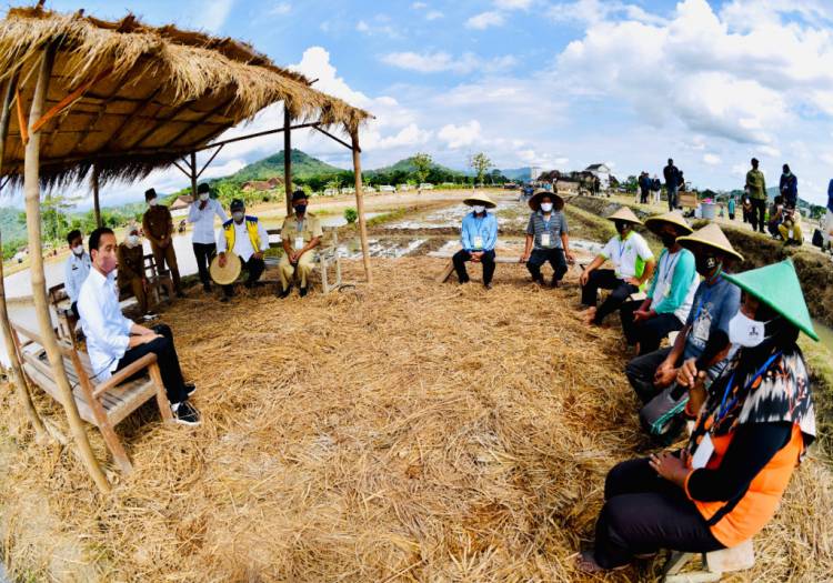 Pemerintah Jamin Ketersediaan Beras Sepanjang Tahun 2021