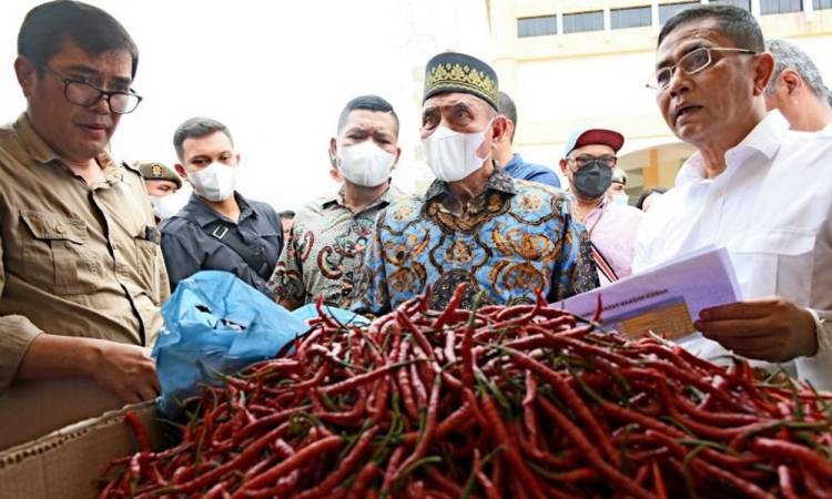 Berhasil Kendalikan Inflasi, Edy Rahmayadi Diminta Mendagri Jadi Narsum Rapat Pengendalian Inflasi se-Indonesia