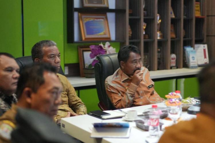 Walikota Binjai Ikuti Musrenbangnas RPJMN 2025 Secara Daring
