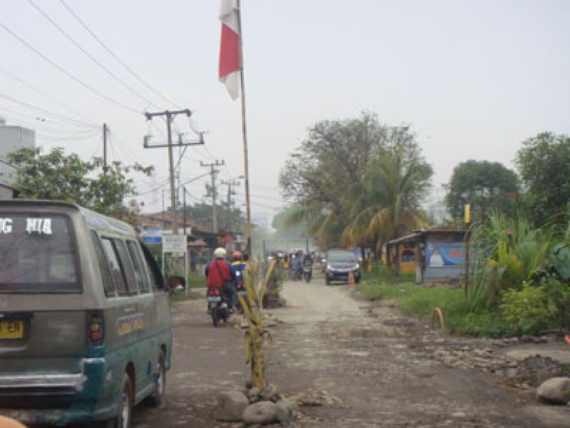 Warga Martubung Tanam Pisang di Badan Jalan 