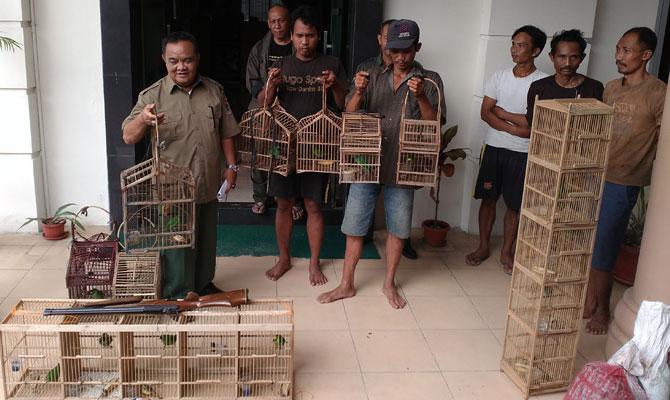 Lagi, Pemikat Burung di TNGL Ditangkap
