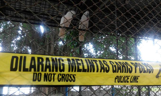 Polda Sumut Sita Satwa Dilindungi Dari Hairos Indah dan Mora Indah