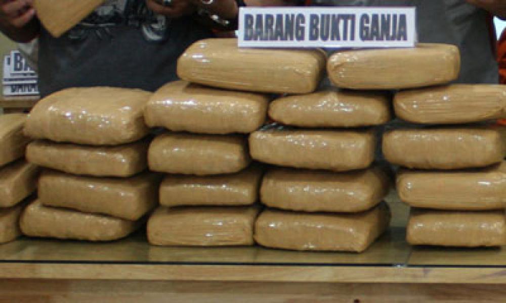 Bawa Ganja, Syafrizal Daulay Diadili