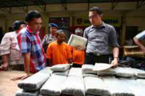 2 Kakek Bawa 54 Kg Ganja Dari Aceh Pakai Becak