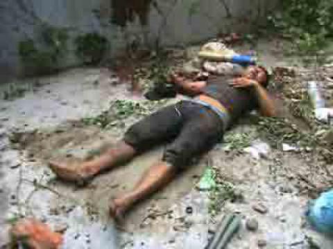 Pencuri Jatuh Dari Lantai Tiga Tempat Penangkaran Sarang Burung Walet