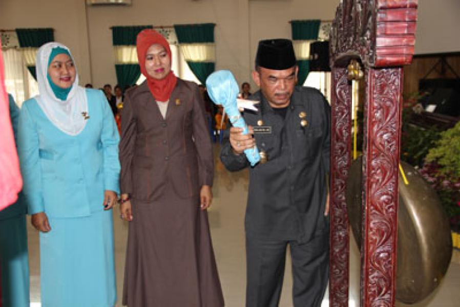 Ny Nurhaida Farid Wajedi Ketua Himpaudi Medan 2013-2017