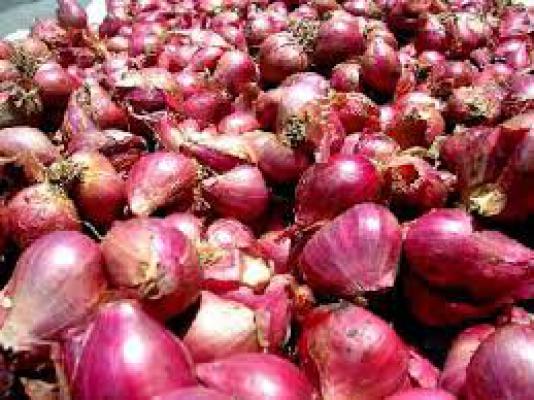 2,7 Ton Bawang Ilegal Asal India Membusuk 