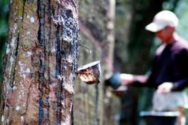 Karet Akan Jadi Campuran Aspal