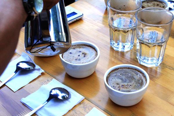 Menikmati 1000 Kopi Gratis dan 300 Cup Susu Segar Bersama SCE Medan