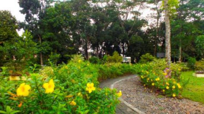 Pemko Medan Optimis Amankan Aset Bumper Cadika
