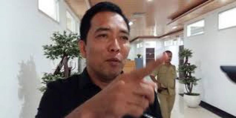 Hendra DS: Program Dinas Pertamanan Kota Medan Indah Didengar Saja