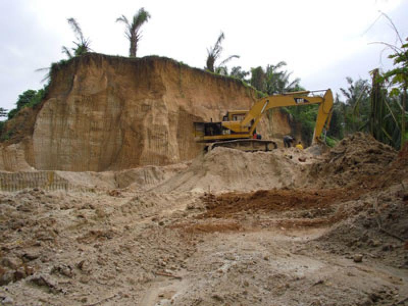 Ribuan Pohon Sawit Ditumbangi, Pejabat PTPN II Cuma Bengong