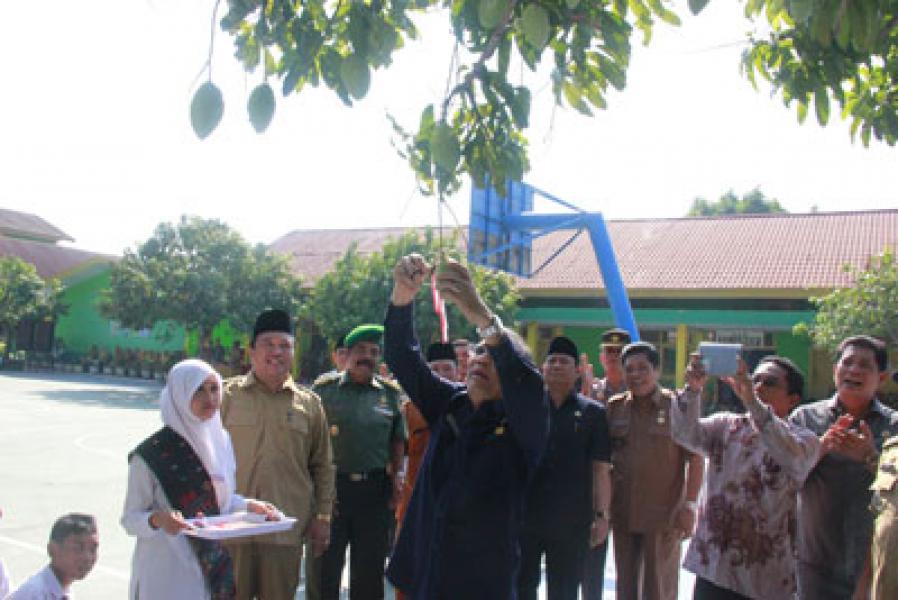 MAN 2 Model Medan Panen Raya Mangga