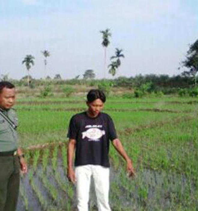 Babinsa Koramil Lubuk Pakam Bersihkan Rumput di Lahan Padi