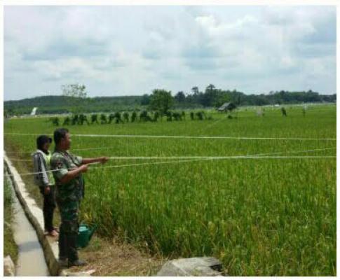 Babinsa Lakukan Pendampingan Petani Pasang Alat Pengusir Hama Burung