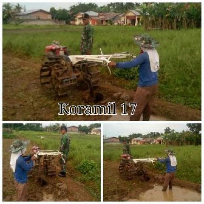 Babinsa dan PPL Binjai Timur Realisasikan UPSUS dengan Turun ke Sawah