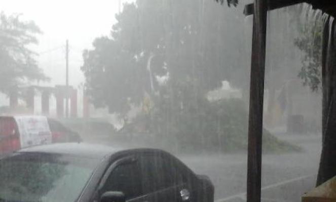 Binjai Dilanda Badai, Pohon di Lapangan Merdeka Tumbang