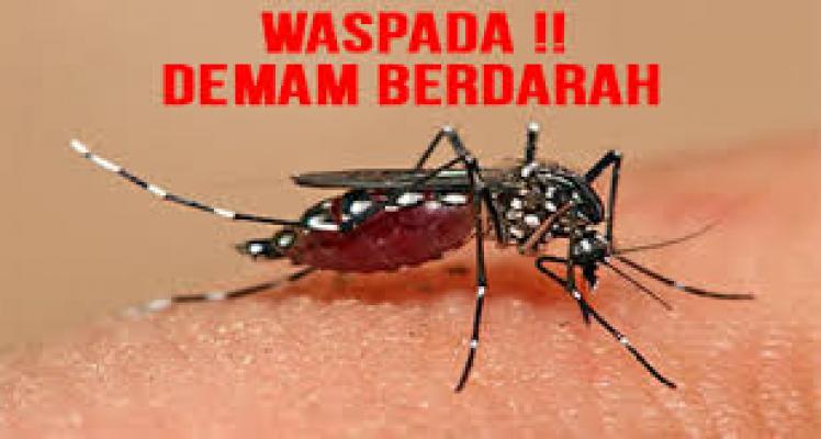 Masuki Musim Penghujan, Masyarakat Diimbau Berantas Sarang Nyamuk