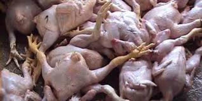 Pedagang Daging Ayam Keluhkan Kenaikan Harga