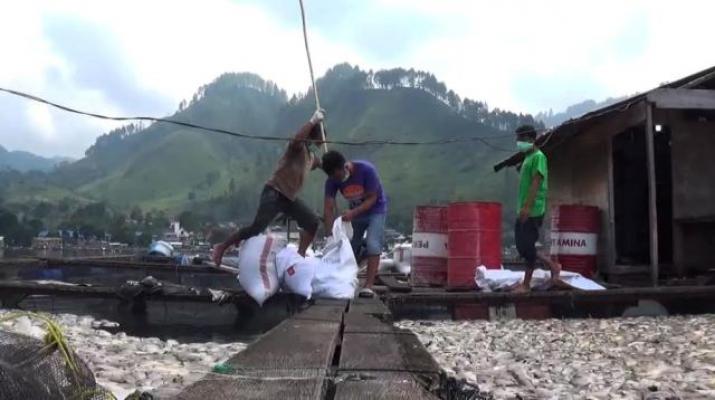 Pemprov Sumut Belum Miliki Solusi Penyelesaian KJA dan Pencemaran Danau Toba